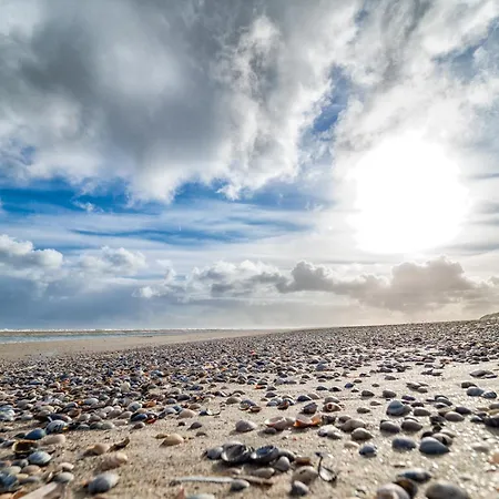 Reckhardt Apartmán *