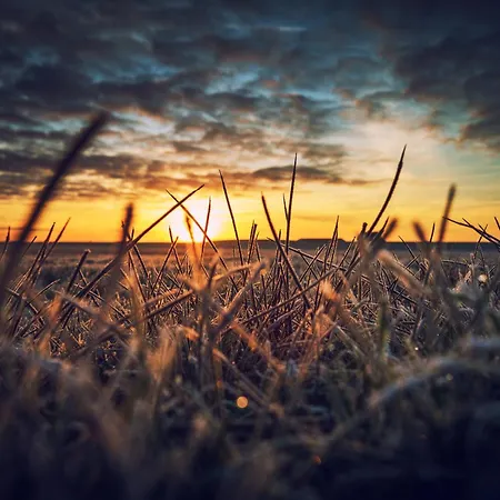 Apartmán Reckhardt *