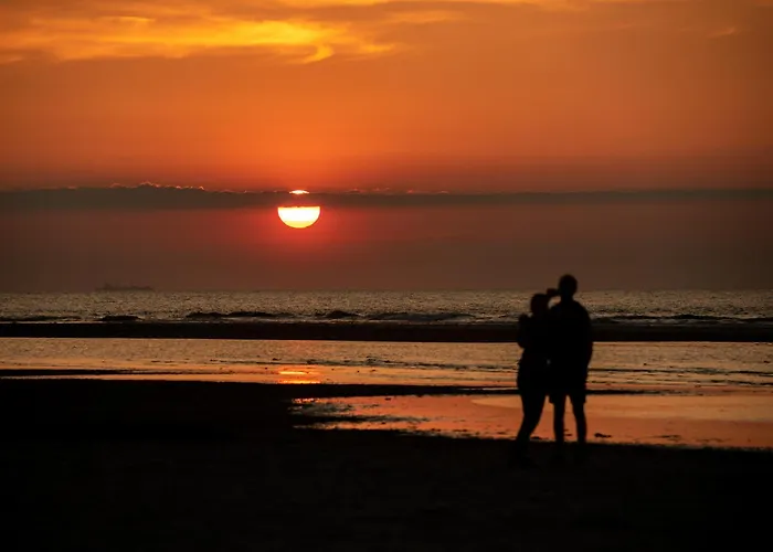 Reckhardt 斯匹科罗格