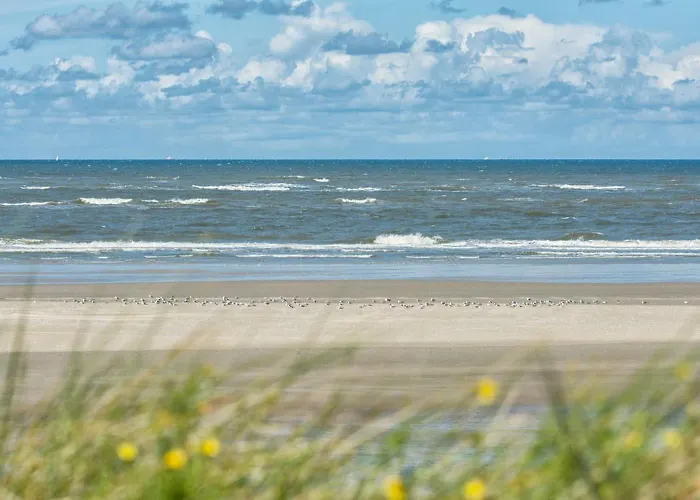 公寓 Reckhardt 斯匹科罗格