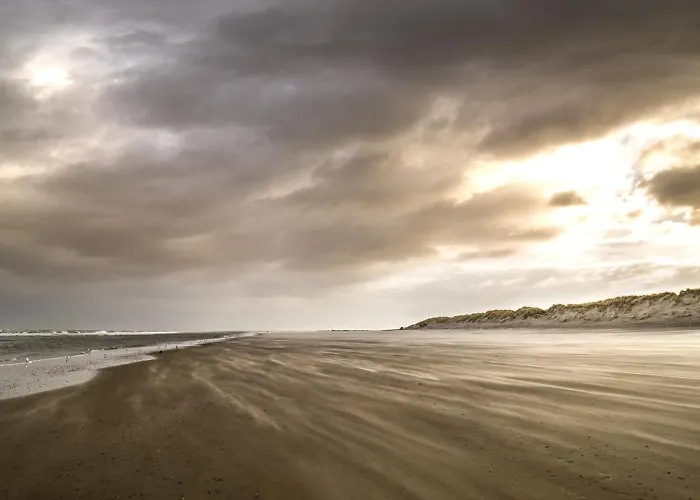 Reckhardt * 斯匹科罗格